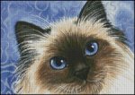 (image for) Shades of Blue